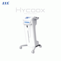 13-HYCOOX